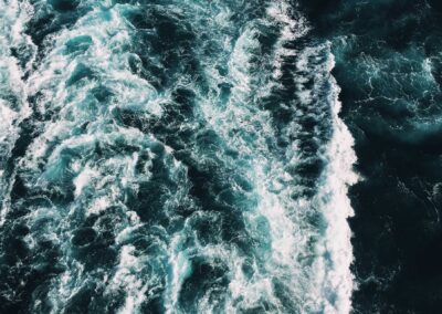 The showed academic details which